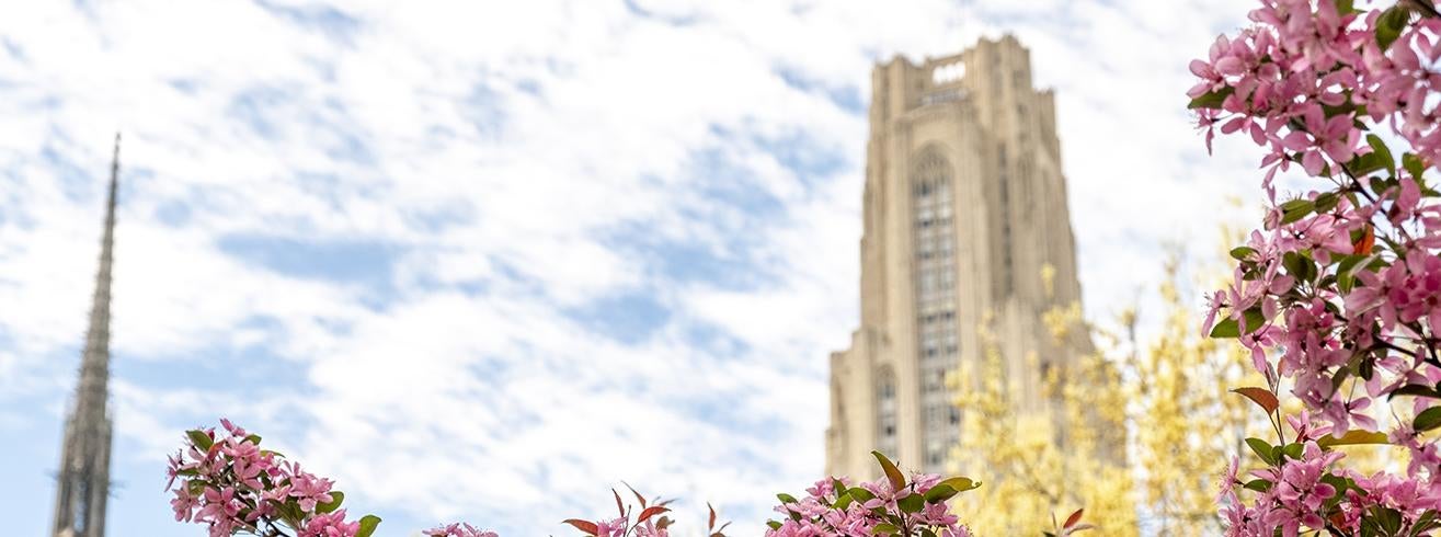 spring flowers in front of Cathedral of Learning