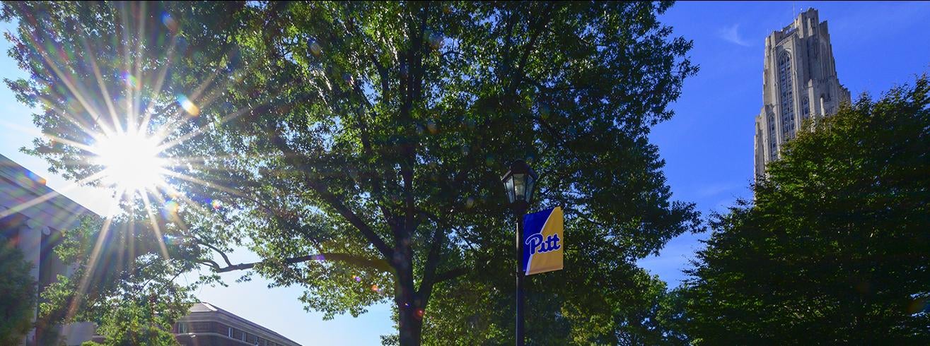 pitt banner on pathway leading to Cathedral of Learning