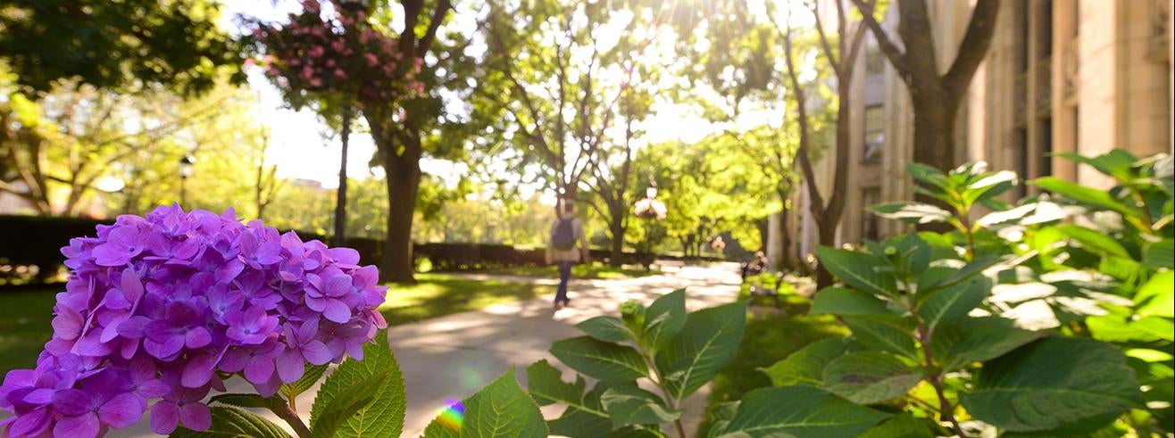 summer plantings by cathedral of learning