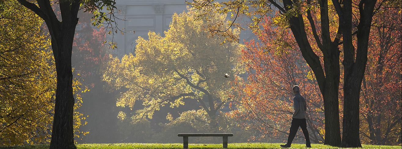 fall morning on Pitt campus