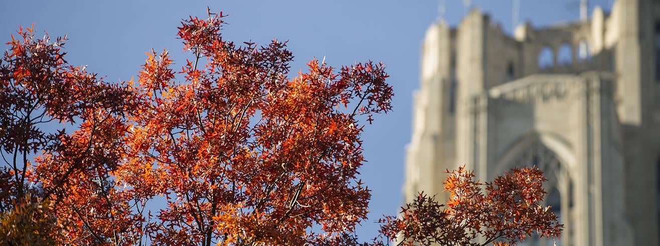 fall leaves in front of Cathedral of Learning