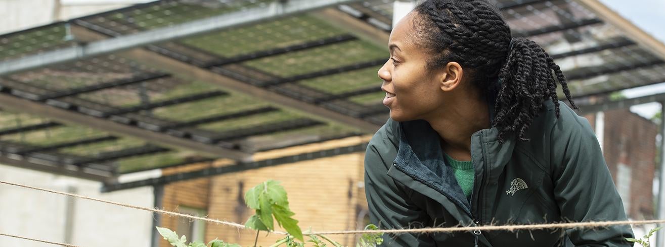 Homewood Bioshelter and Aquaponics Oasis housed in a completely off-grid building