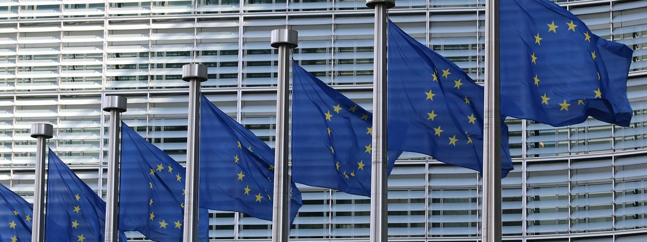 European Union flags in front of building Photo by  Guillaume Périgois on Unsplash