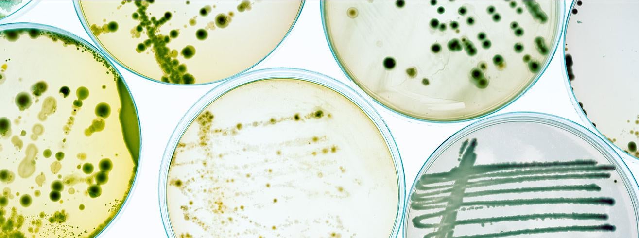 Cellular & Molecular Pathology