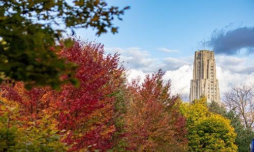 phd programs university of pittsburgh