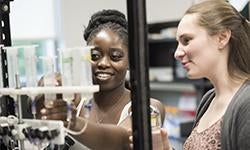 Students working in lab in the BioSciences Department