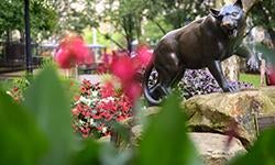 panther statue on Pitt campus