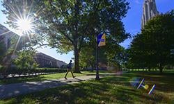 pitt banner on pathway leading to Cathedral of Learning