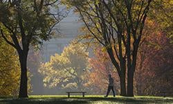 fall morning on Pitt campus