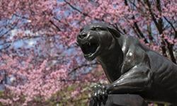panther statues with pink blooming tree in background