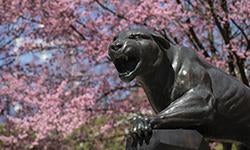 panther statue 