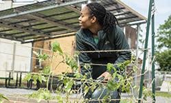 Homewood Bioshelter and Aquaponics Oasis housed in a completely off-grid building